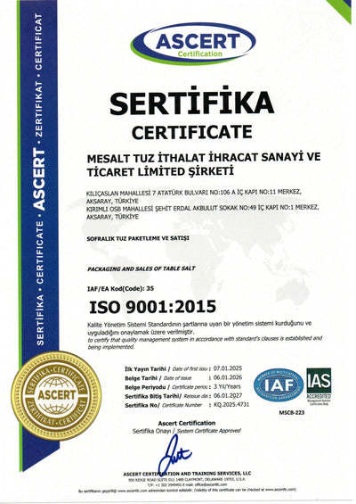 ISO 9001